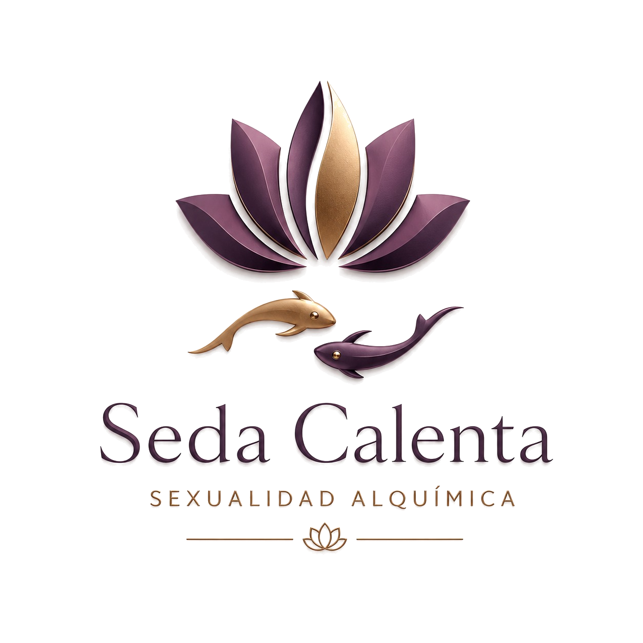 Seda Calenta